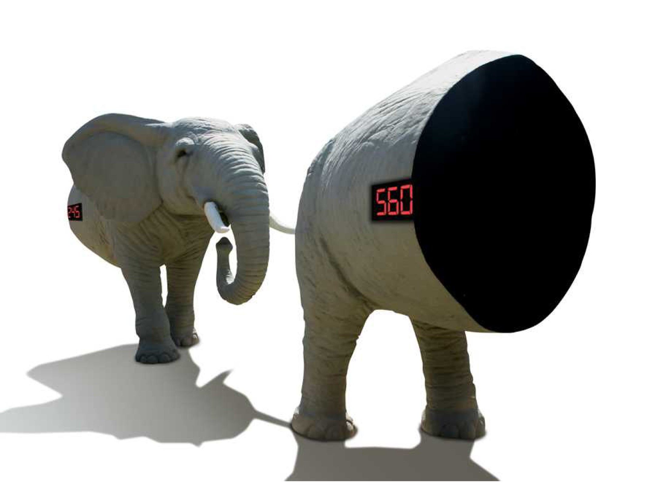 Passaggio elefante count down