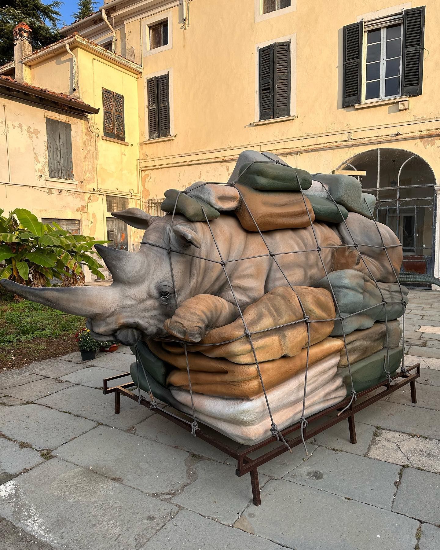 Bagaglio rinoceronte monumentale
