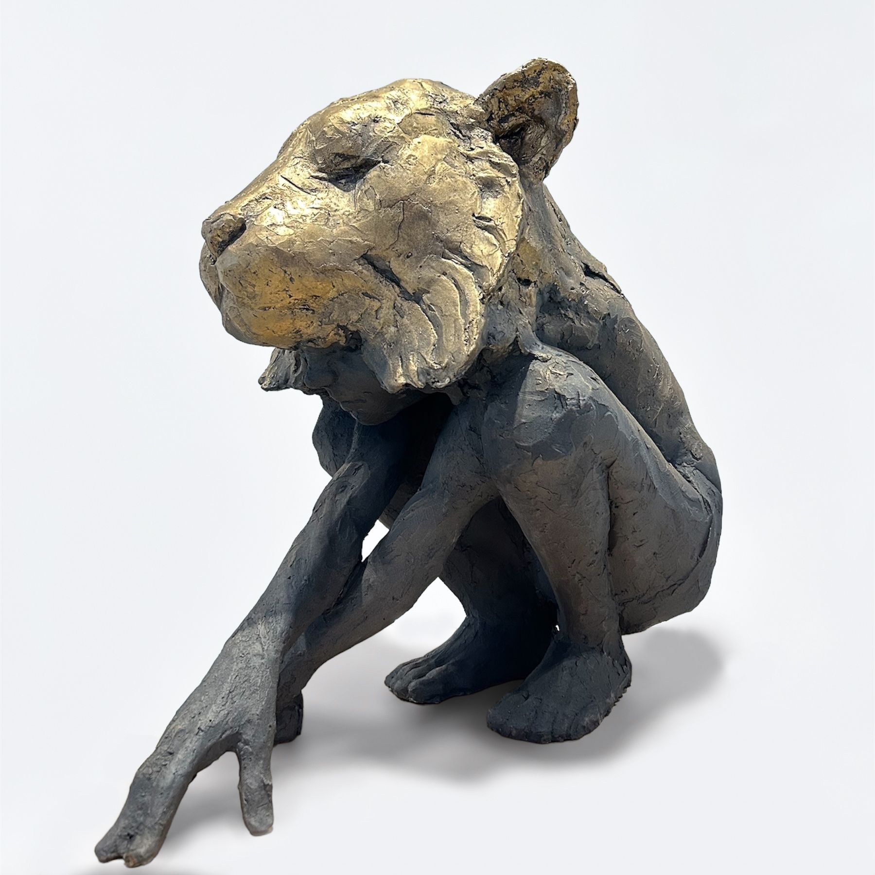 Tiger soul