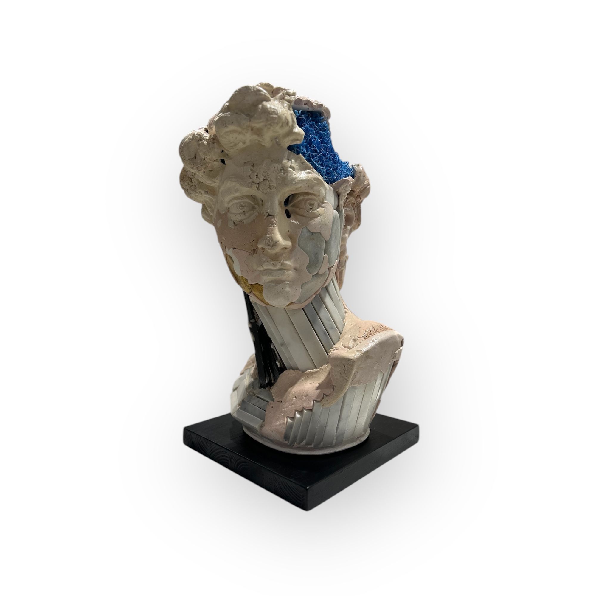 David blue brain damage